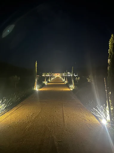 Allée illuminée